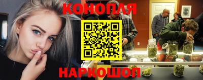 сатива Брянск