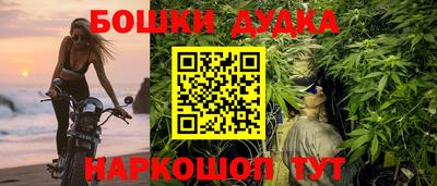 крисы Братск